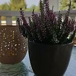 别墅 Osada California Grudna