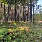 Osada California * Grudna