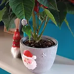 Osada California 别墅 Grudna