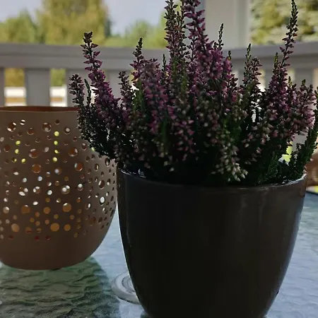 Villa Osada California Grudna