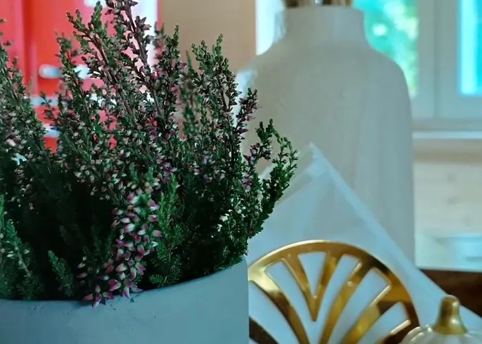 Villa Osada California Grudna