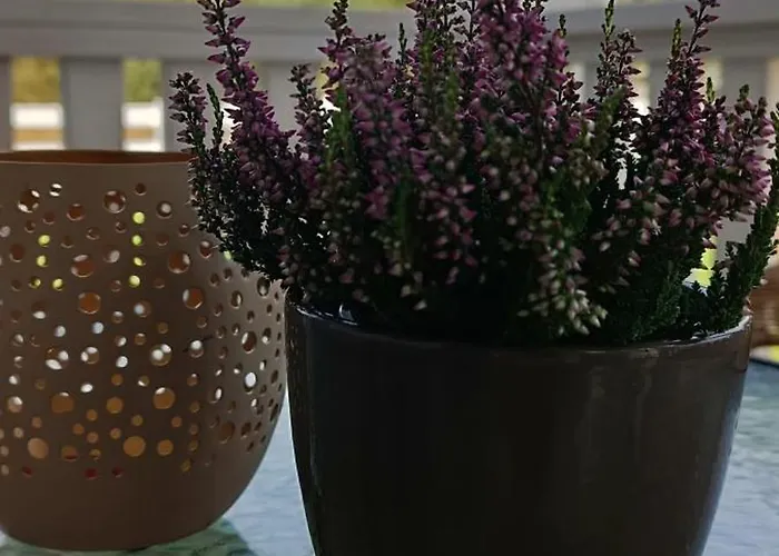 Villa Osada California Grudna