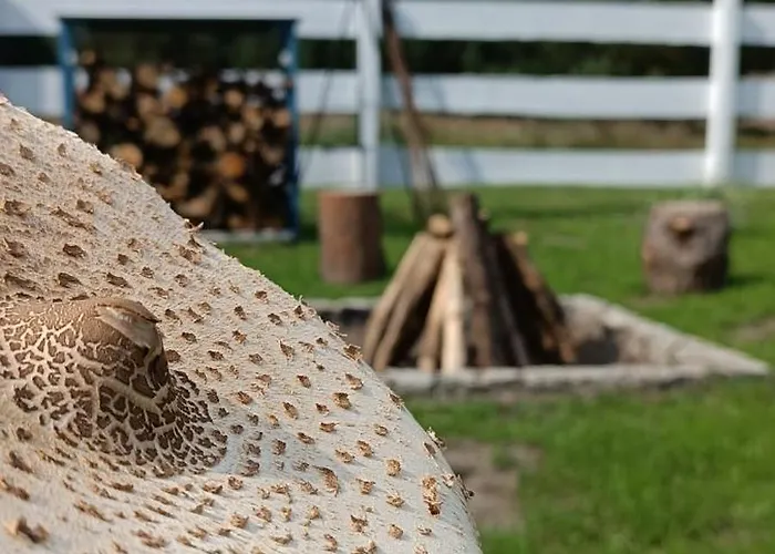 Osada California Villa Grudna