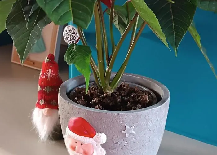 Osada California Villa Grudna